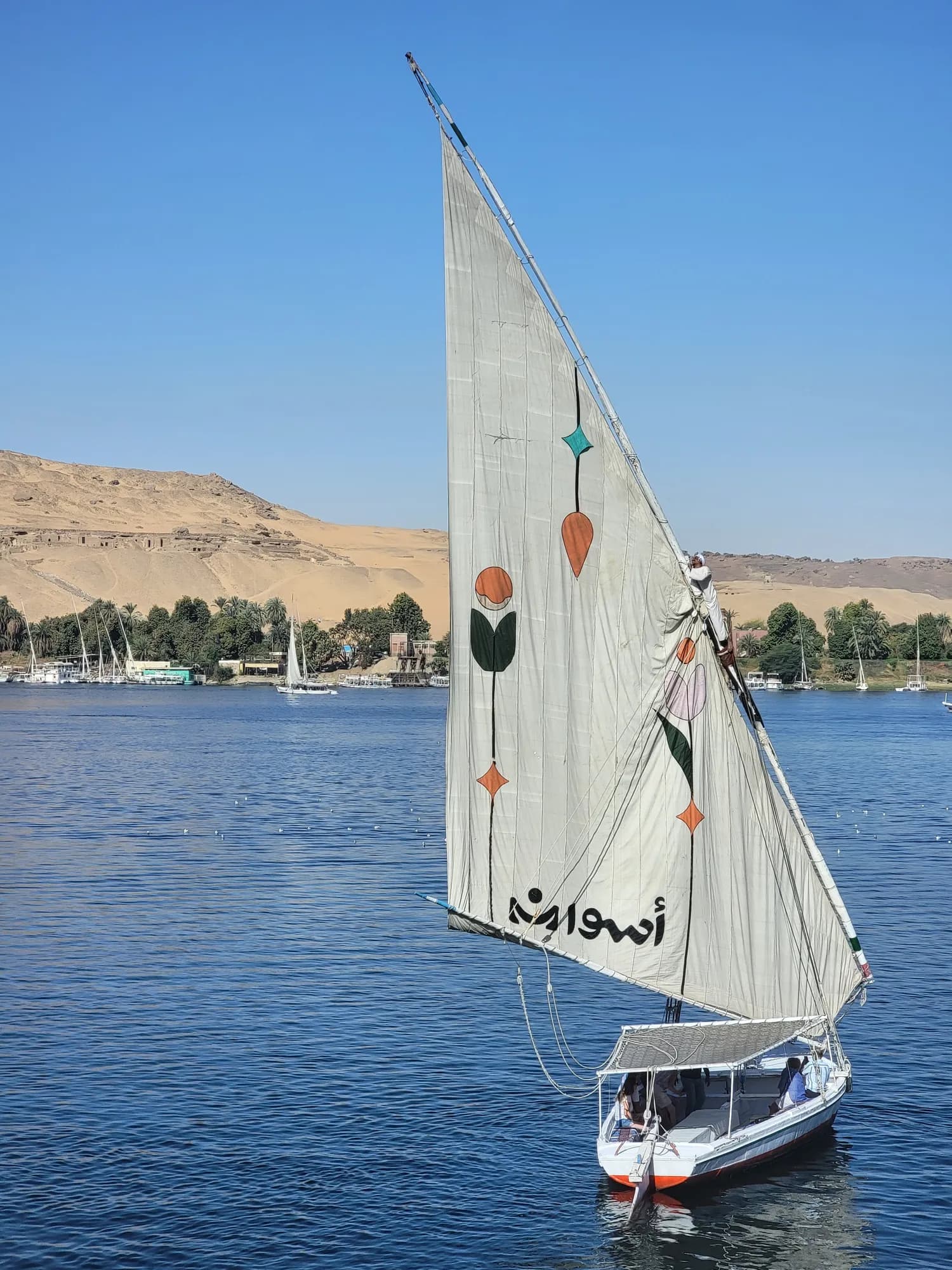 Felucca sailing on the Nile